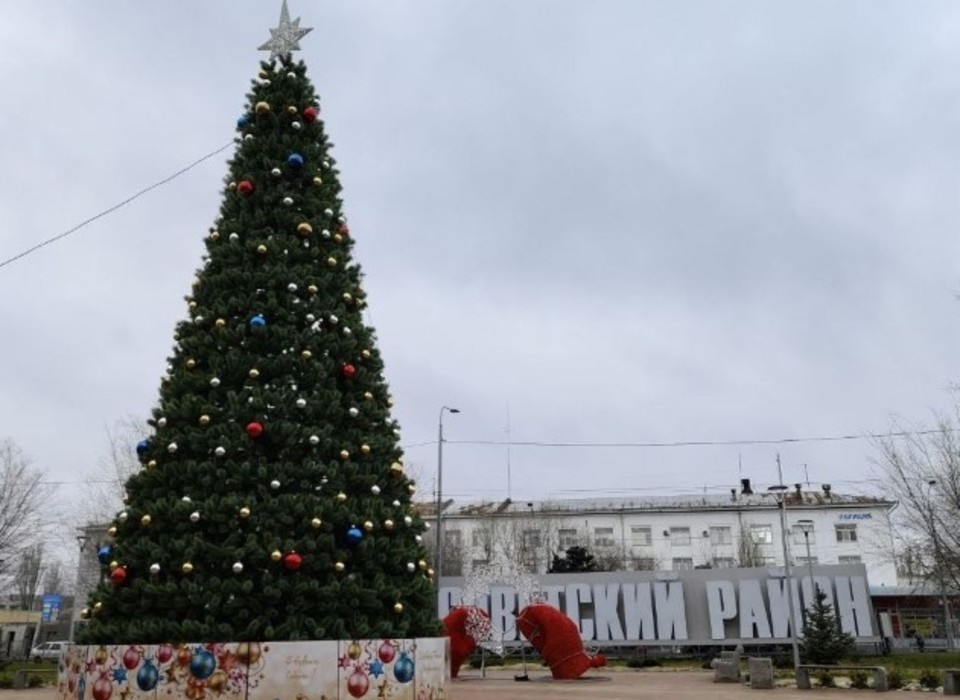 В обновленном сквере в Волгограде установили 12-метровую новогоднюю ель